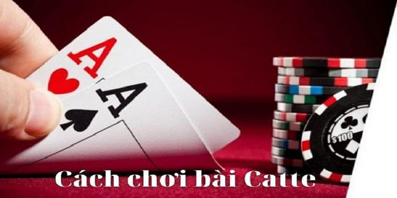 Người mới cần phải tìm hiểu cách chơi Catte