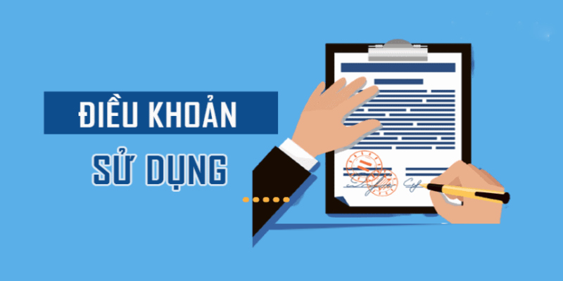 Chính sách điều khoản trong việc sử dụng thông tin