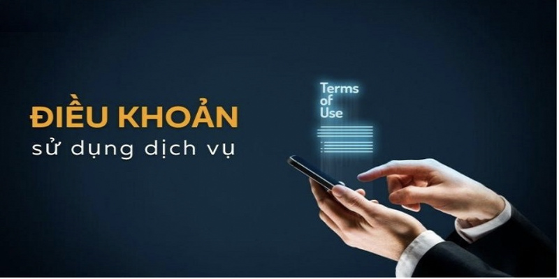 Lưu ý cần quan tâm khi áp dụng chính sách điều khoản